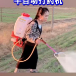 小姐姐水田打农药照片,小姐姐水田打农药的辛勤身影